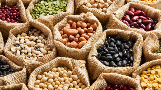 Descubra 5 proteínas vegetais para substituir a carne nas refeições: