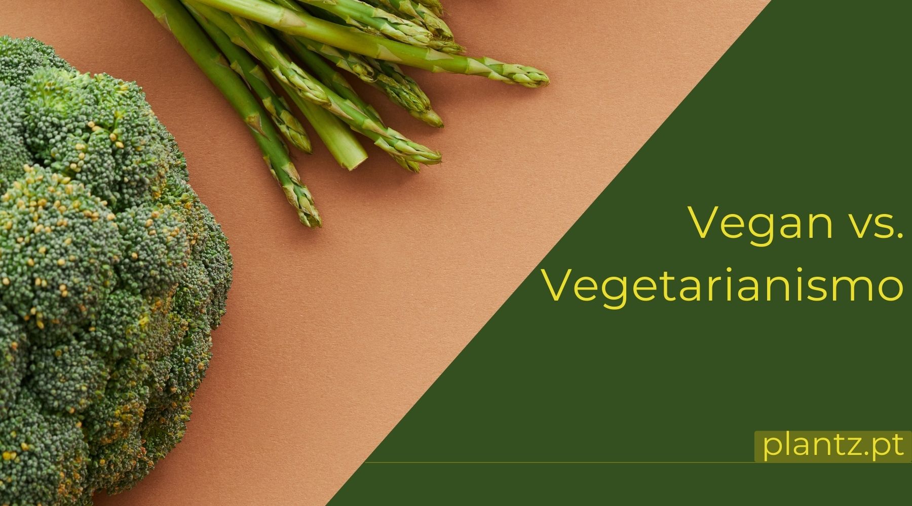 Vegan vs. Vegetarianismo: Qual é a diferença? – PLANTZ